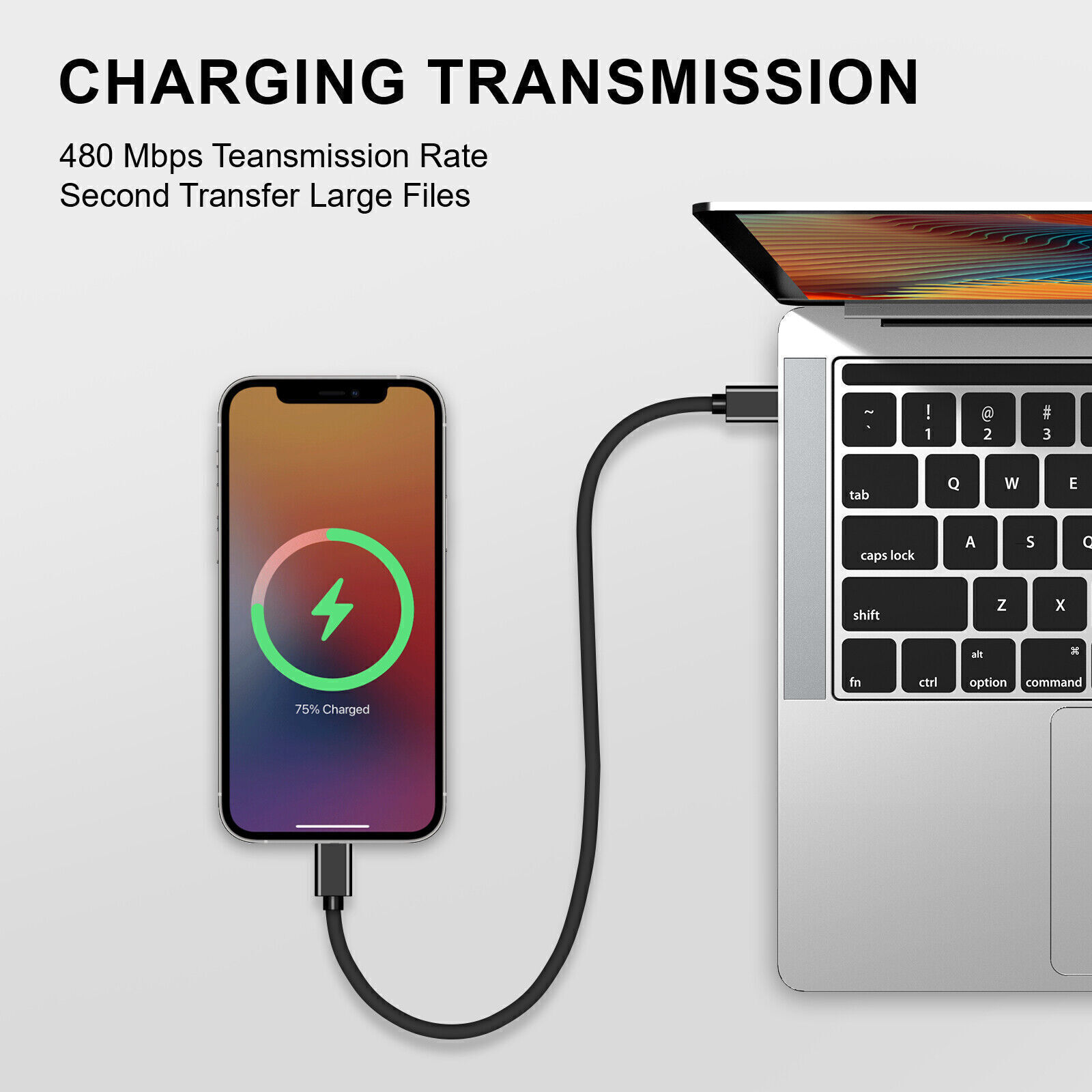 1 PACK 6FT USB-C to USB-C Fast Charging Cable Type C Quick Charging Cord Data